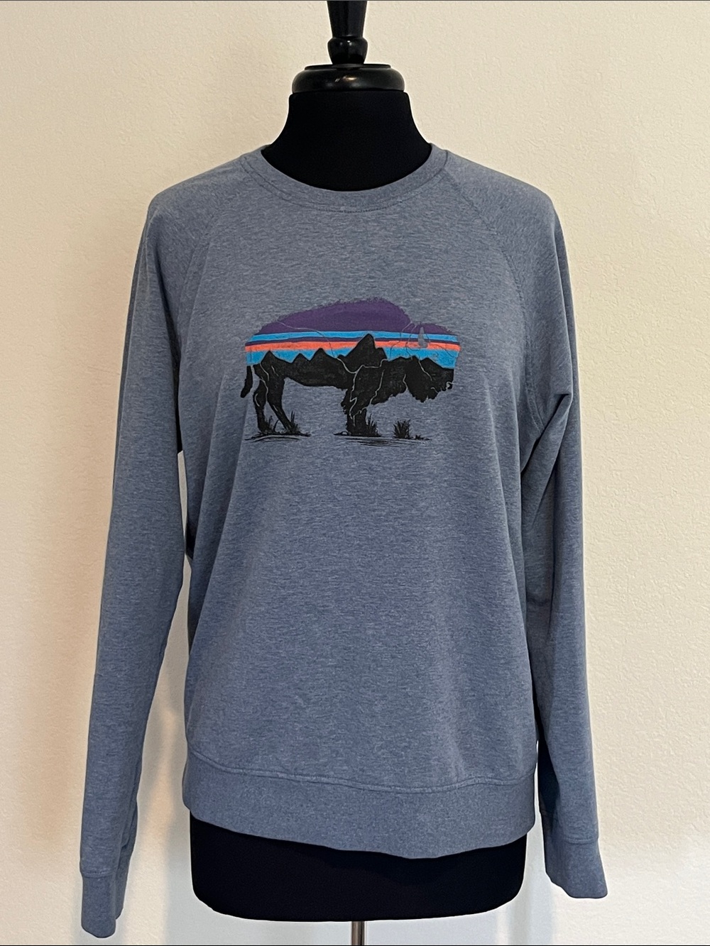 Patagonia blue sweater